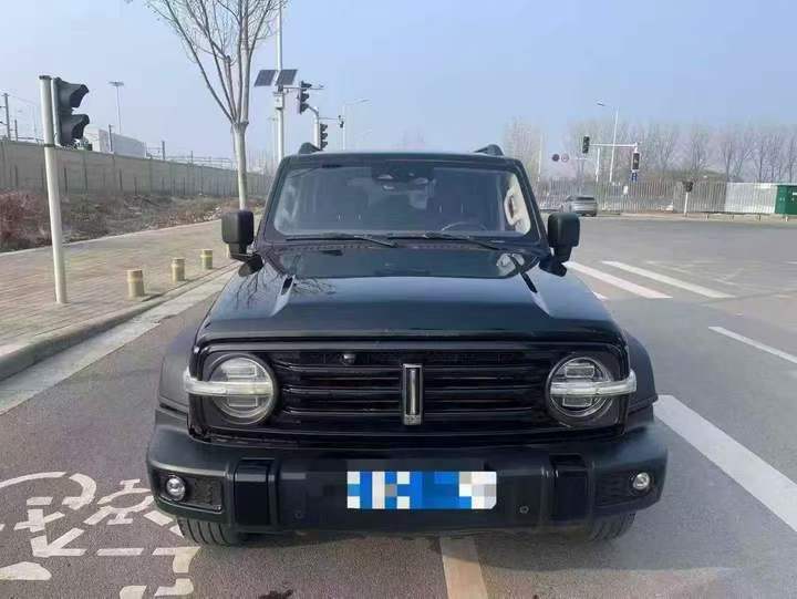 煙臺21年長城汽車坦克1