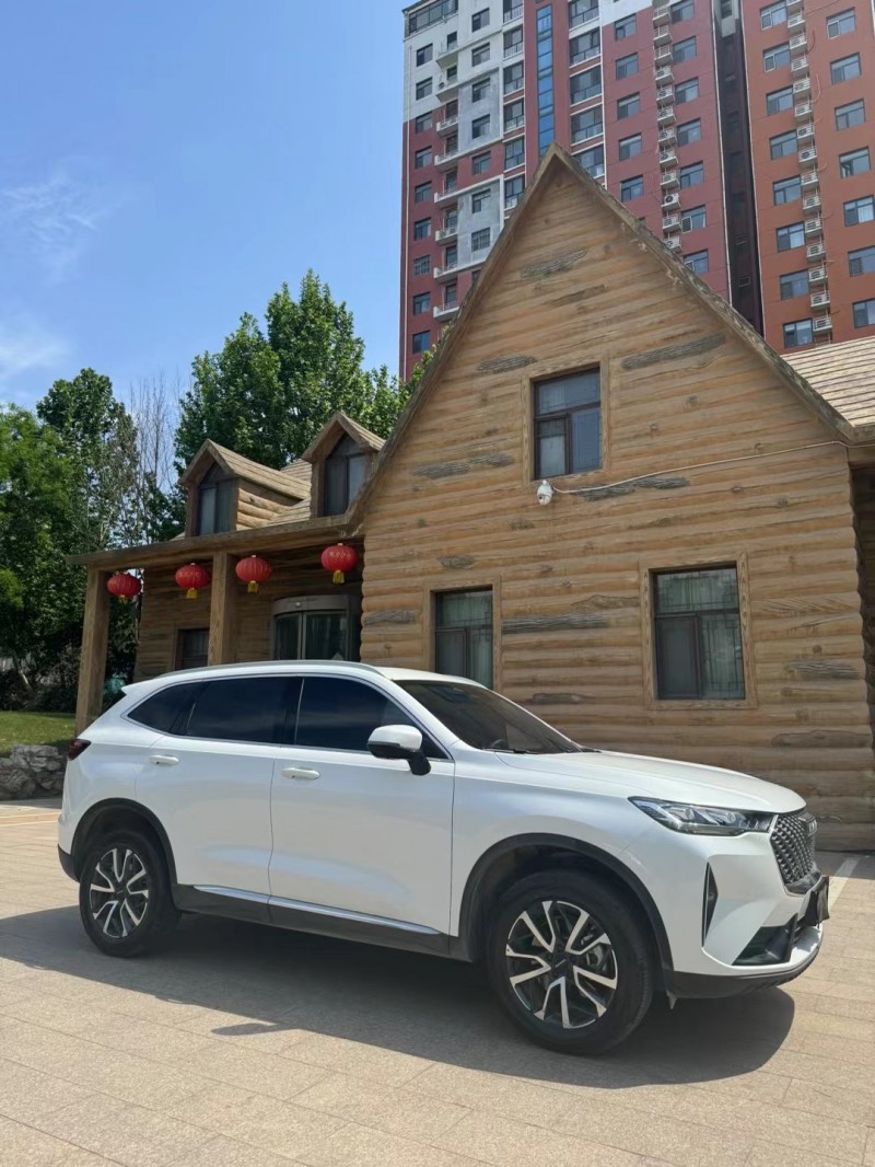 邢臺23年哈弗H63