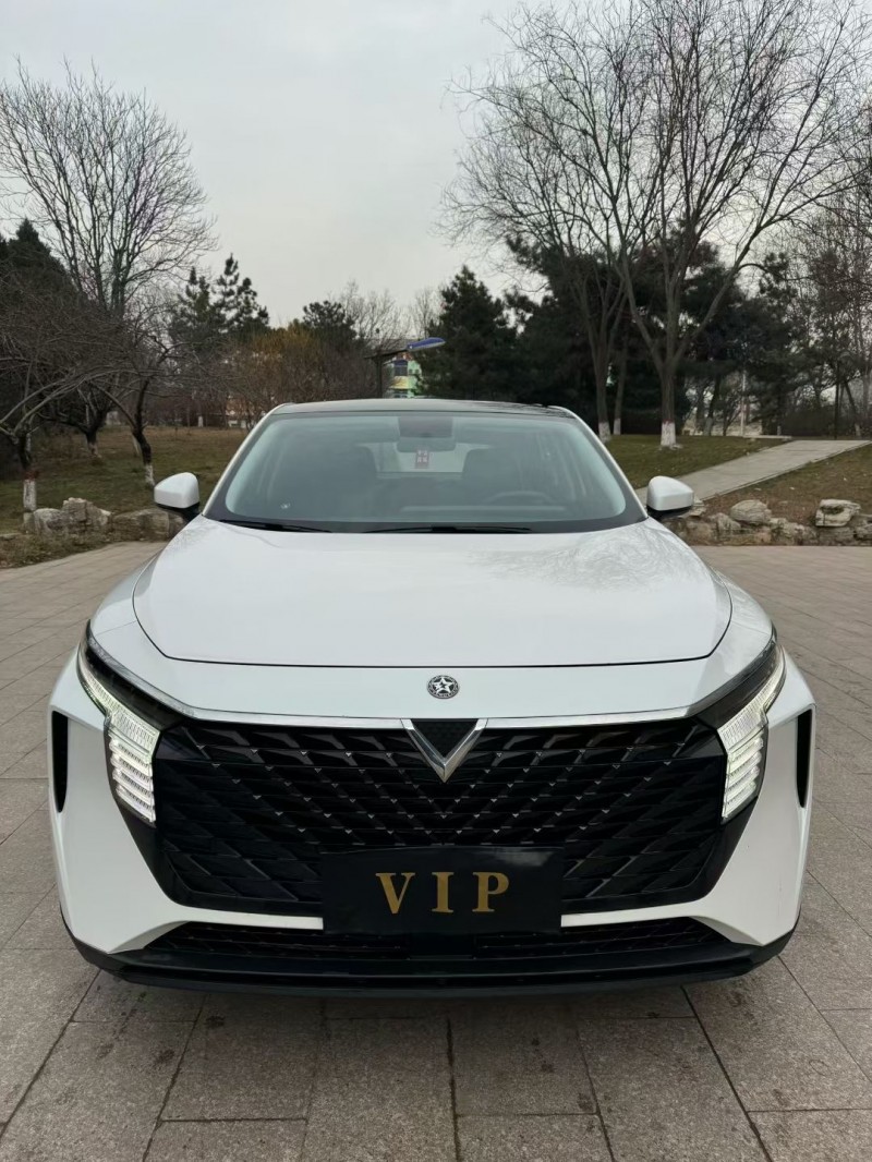 邢臺23年啟辰大V1
