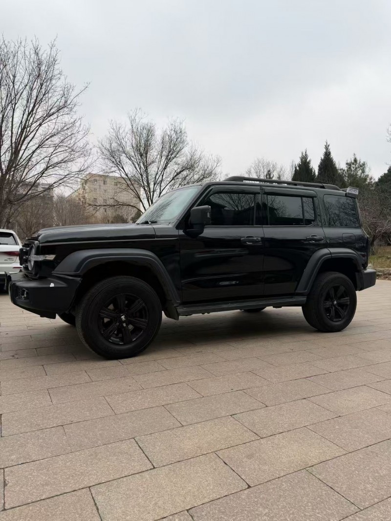 邢台21年长城汽车坦克2