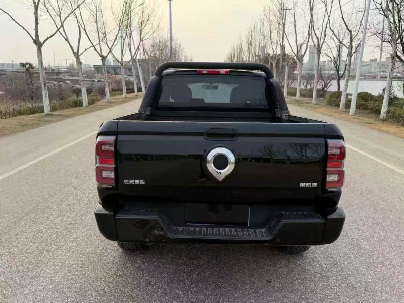 徐州24年长城汽车炮 皮卡9