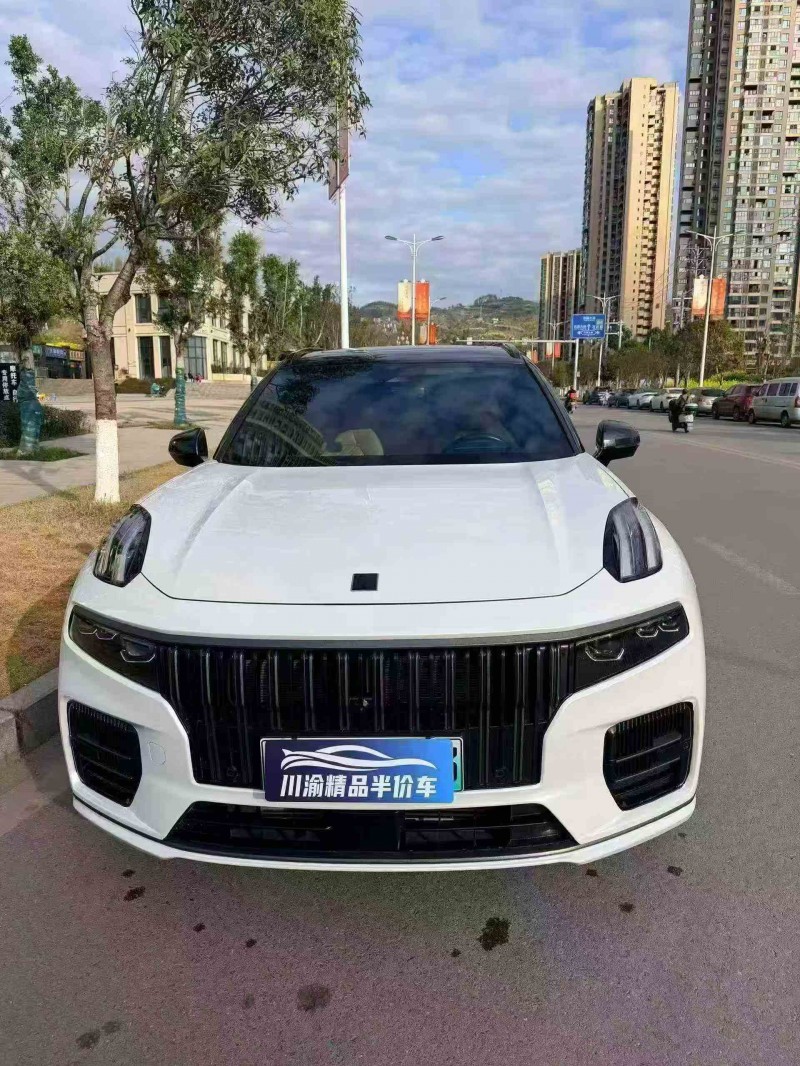 遂宁22年领克091