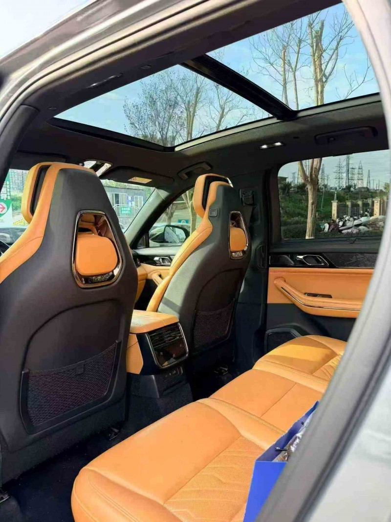 遂宁22年领克094