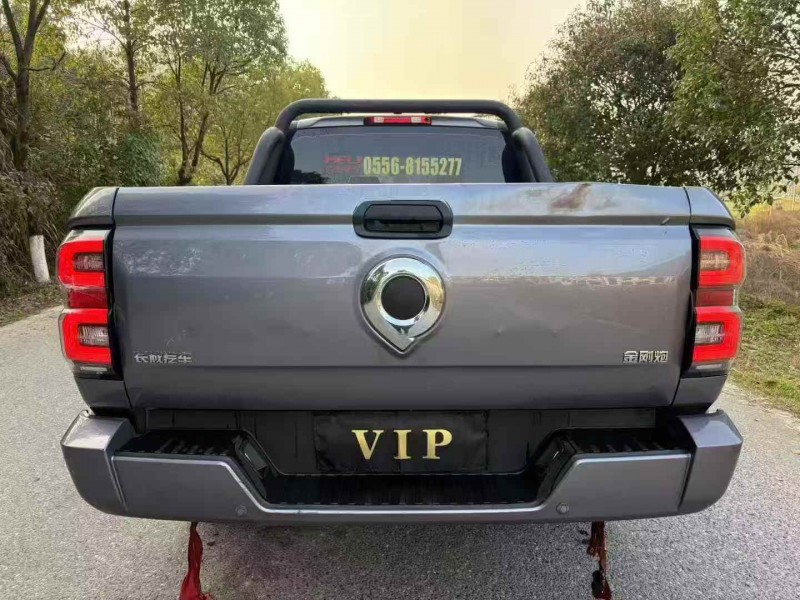 淮北25年长城汽车炮 皮卡9