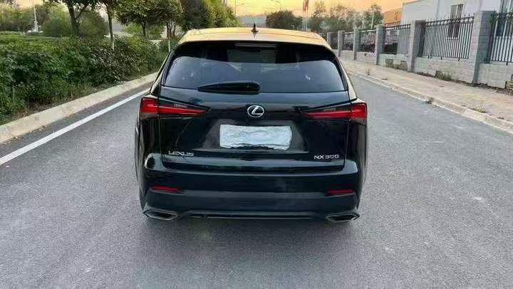 嘉兴19年雷克萨斯NX9