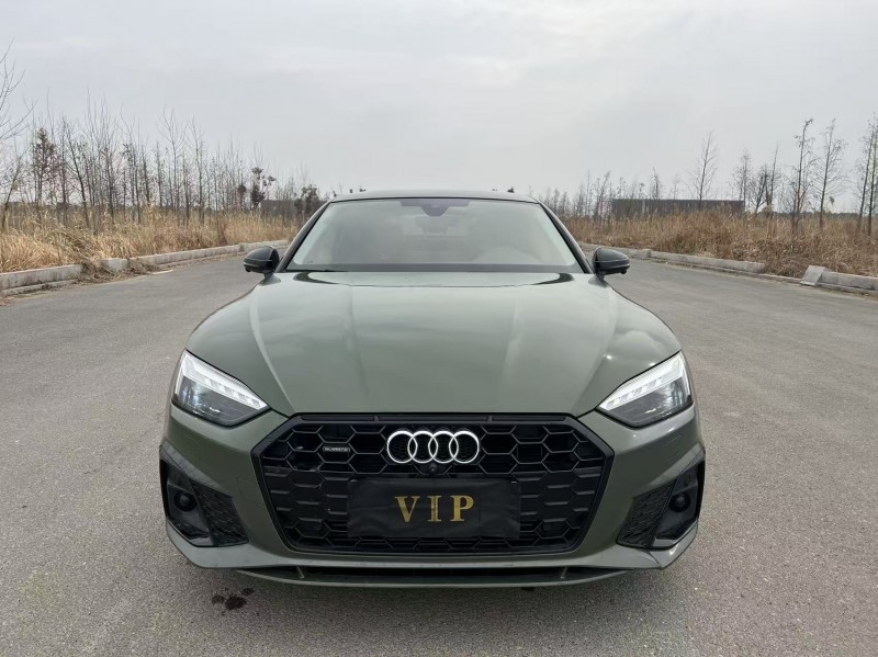 盐城22年奥迪A51