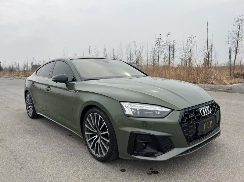 盐城22年奥迪A52