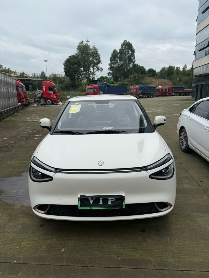 乐山25年东风纳米1