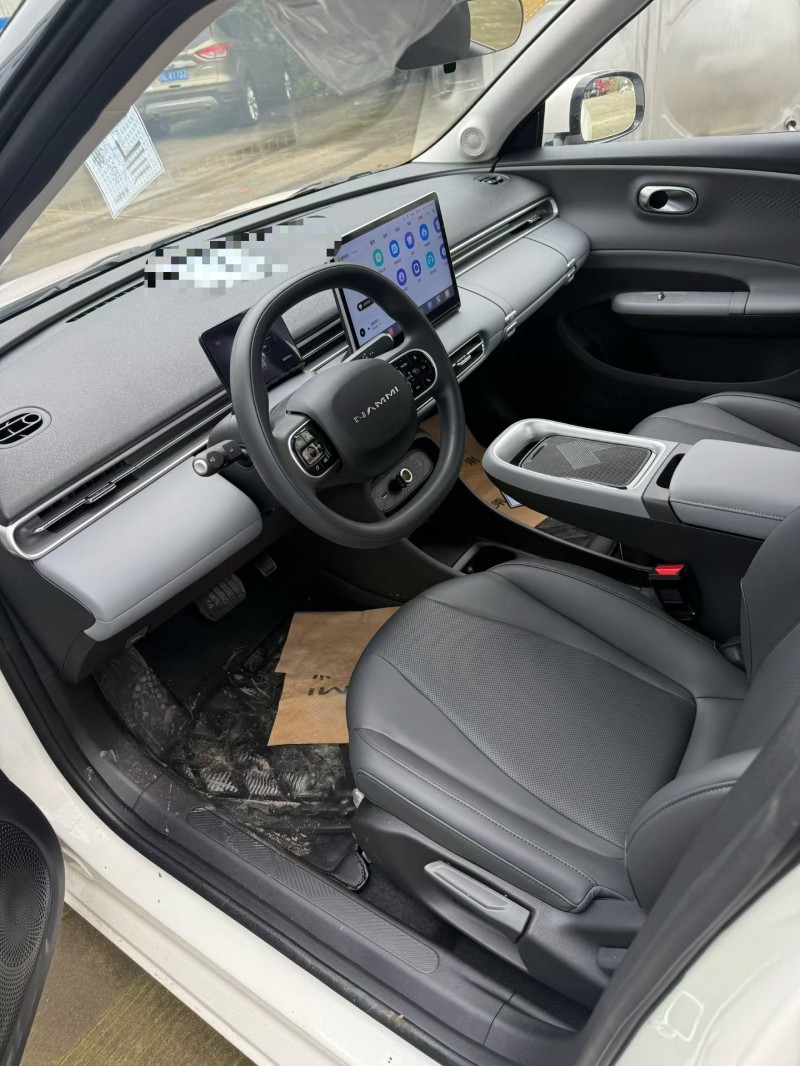 乐山25年东风纳米3