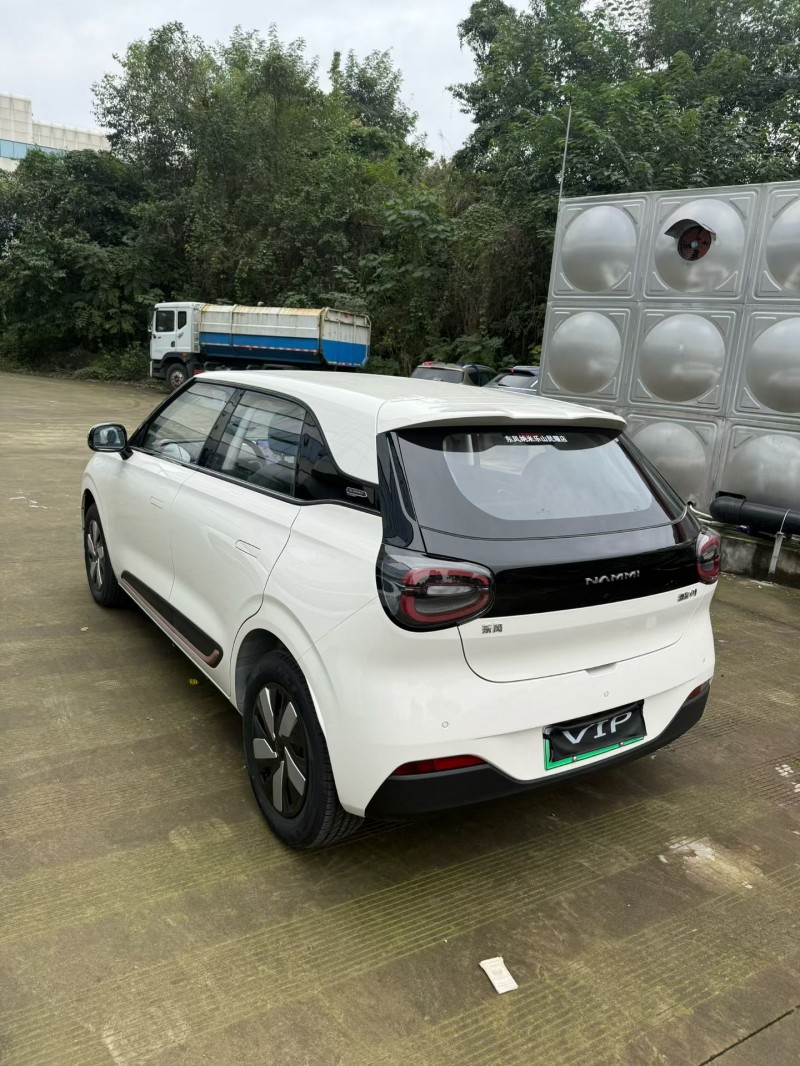 乐山25年东风纳米6