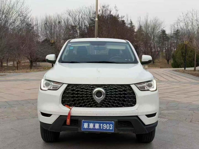 濟寧22年長城汽車炮 皮卡1