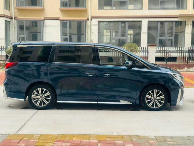 鹤壁20年传祺M8/GM84