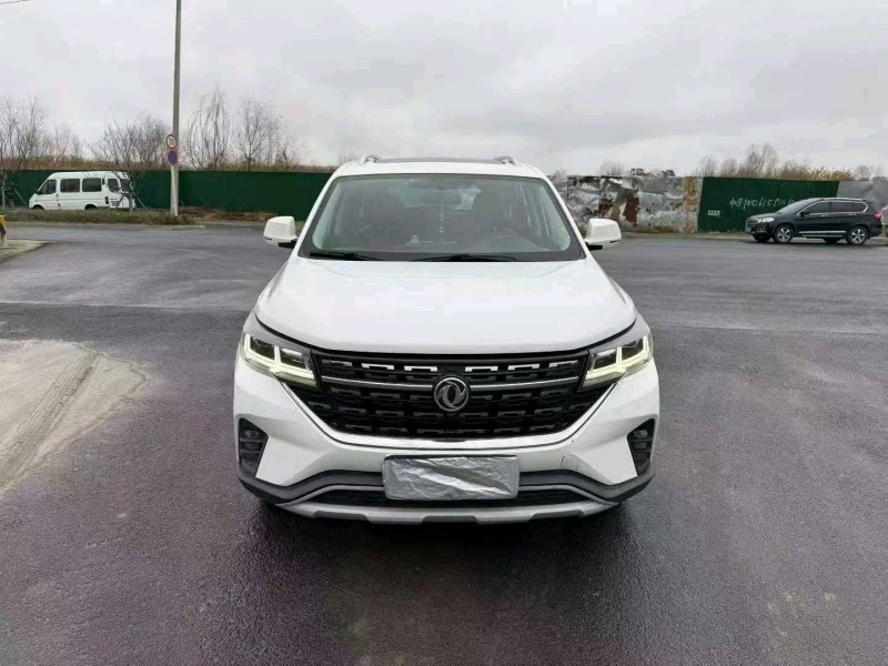 蘇州20年東風風行1