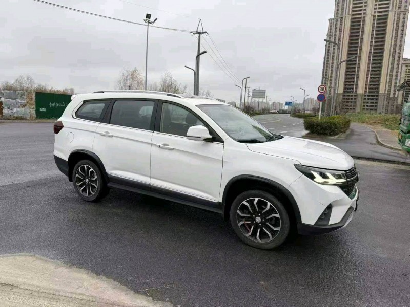 蘇州20年東風風行2