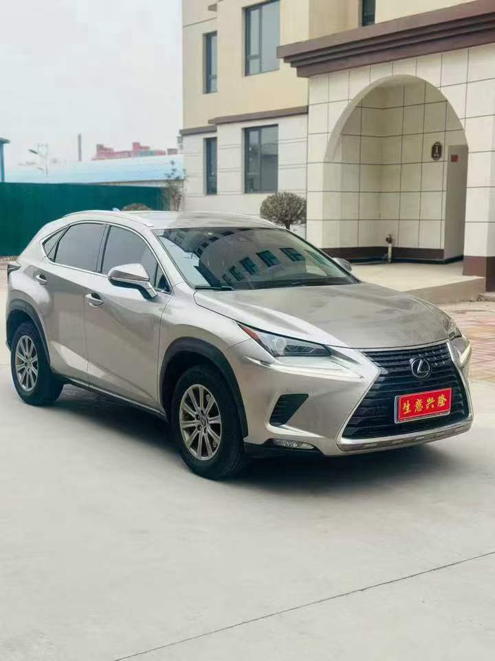 鶴壁20年雷克薩斯NX2