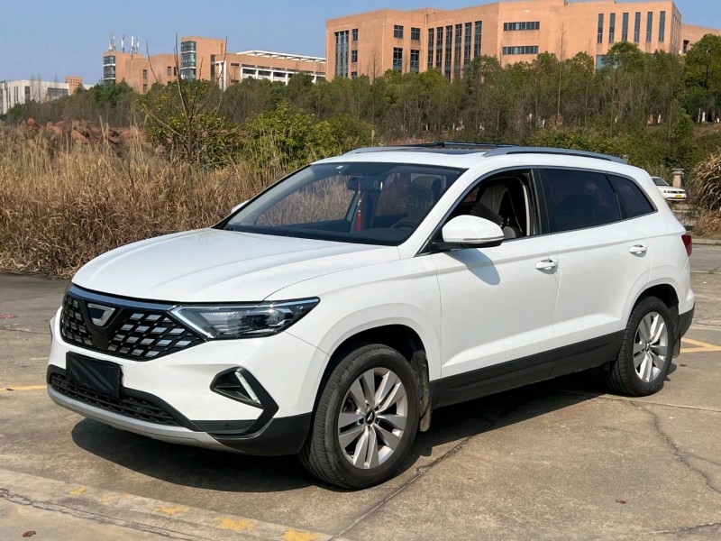 长沙20年大众捷达10