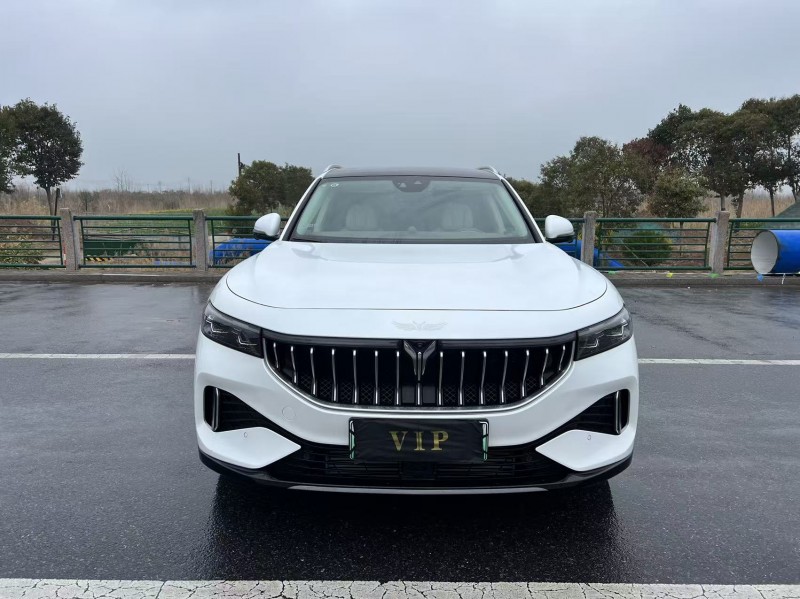 鹽城21年嵐圖汽車FREE1