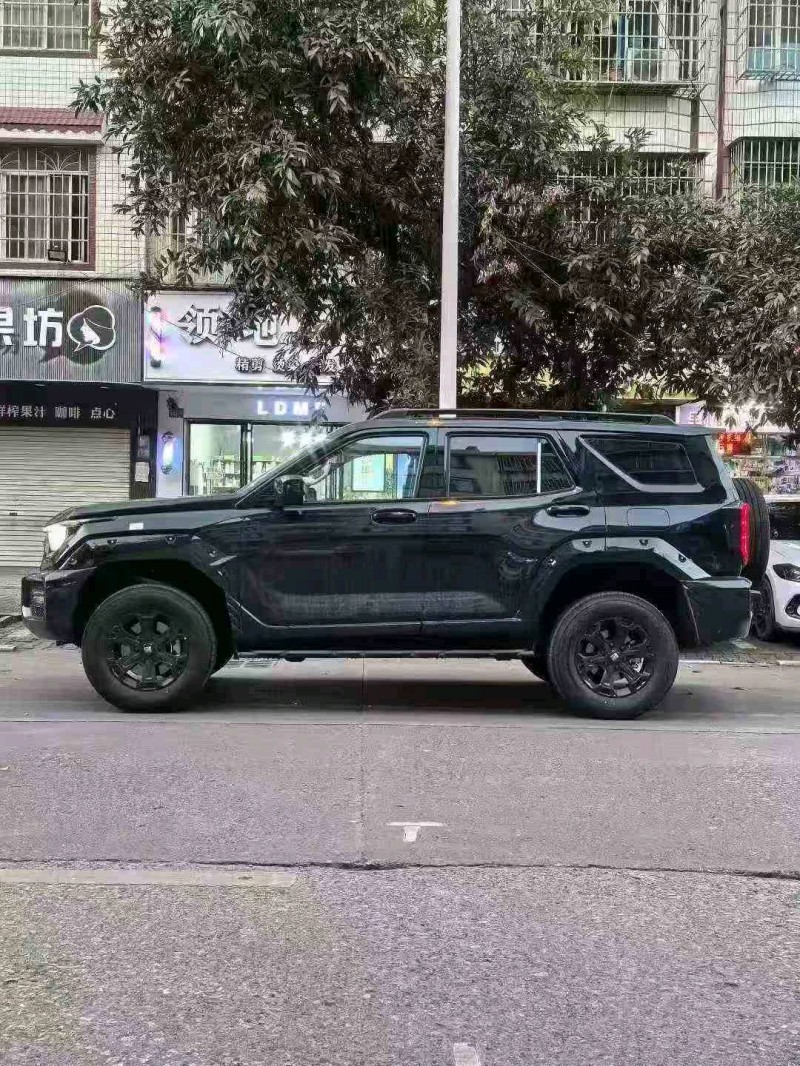 汕头26年长城汽车坦克3