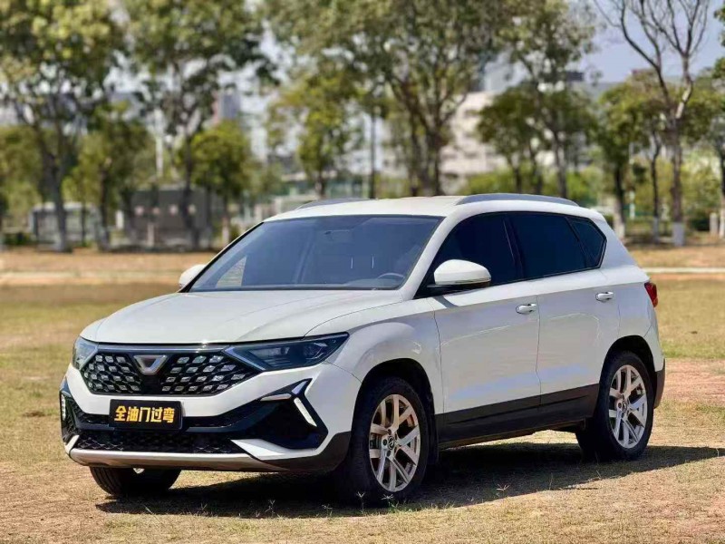 廣州23年大眾捷達2