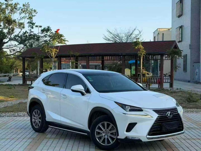 广州19年雷克萨斯NX2