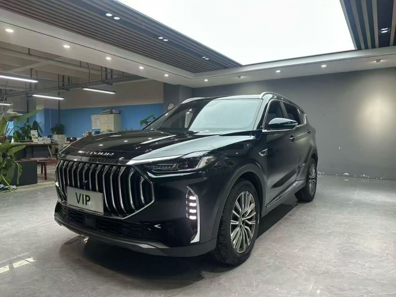 成都25年奇瑞捷途2