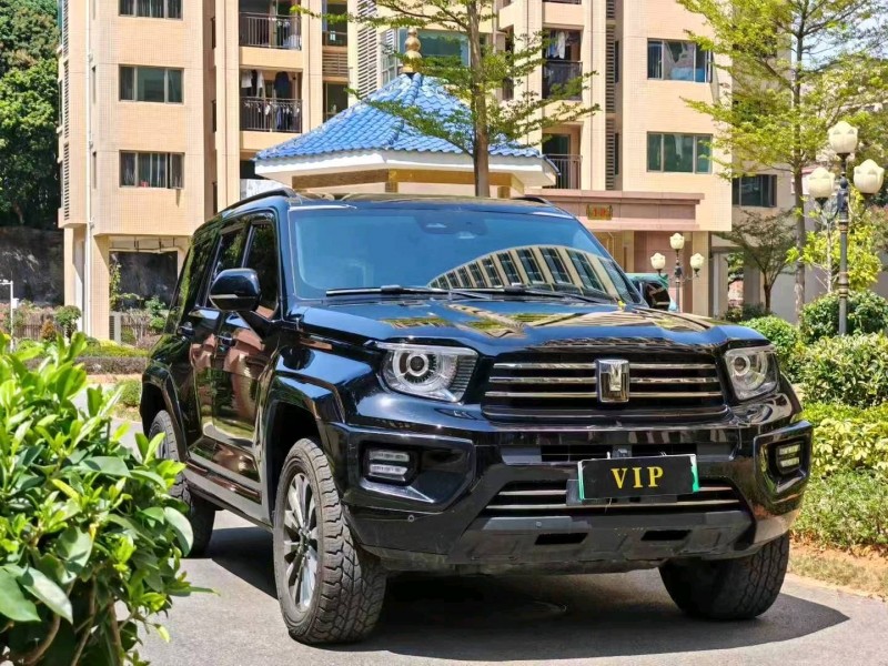 东莞24年长城汽车坦克2