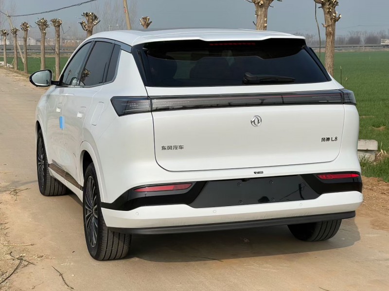 济宁26年东风风神8