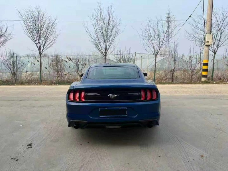 徐州18年福特野马9