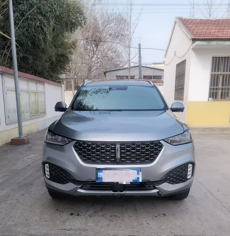 濰坊20年長城汽車魏牌1