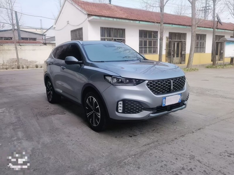 濰坊20年長城汽車魏牌2