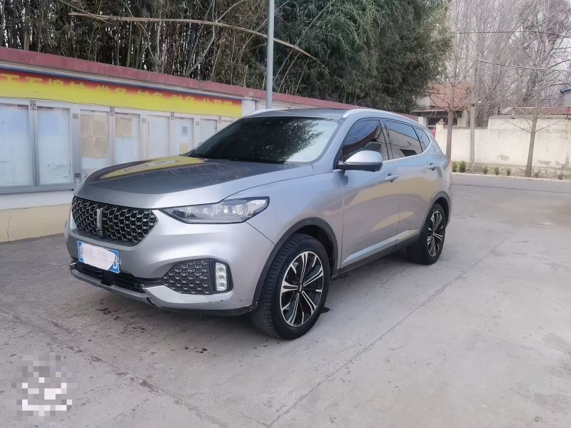 濰坊20年長城汽車魏牌3