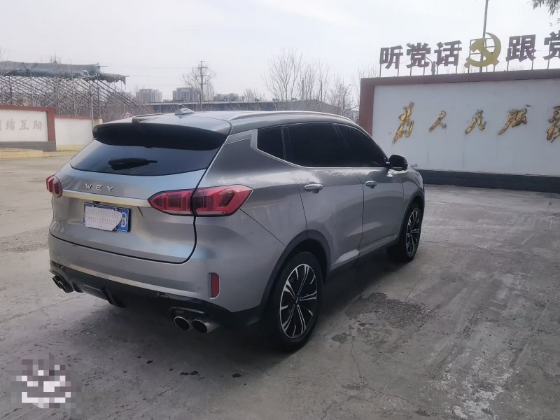 濰坊20年長城汽車魏牌7