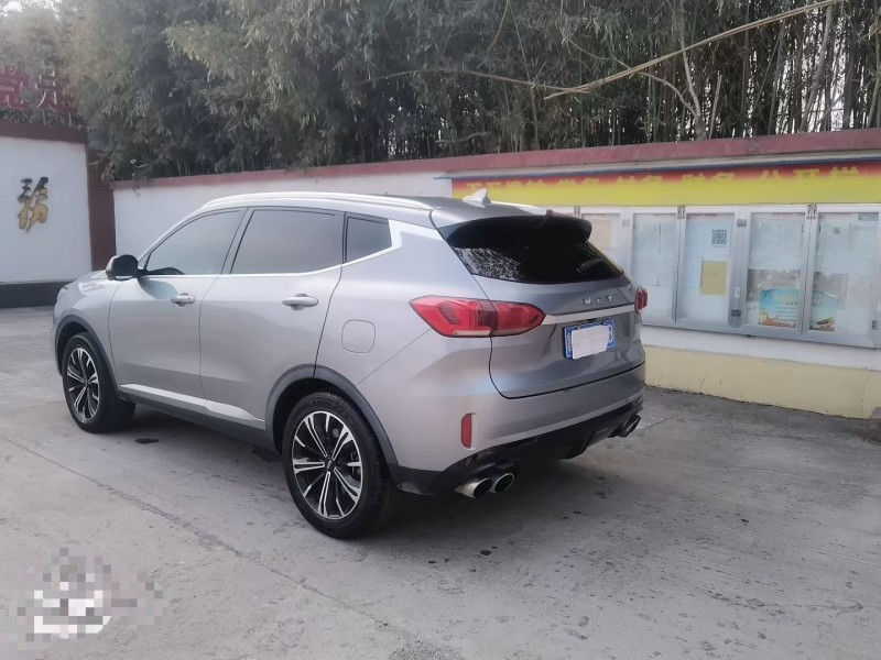 濰坊20年長城汽車魏牌8