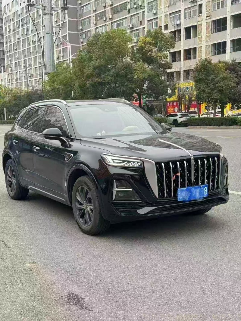 湘潭24年红旗HS52