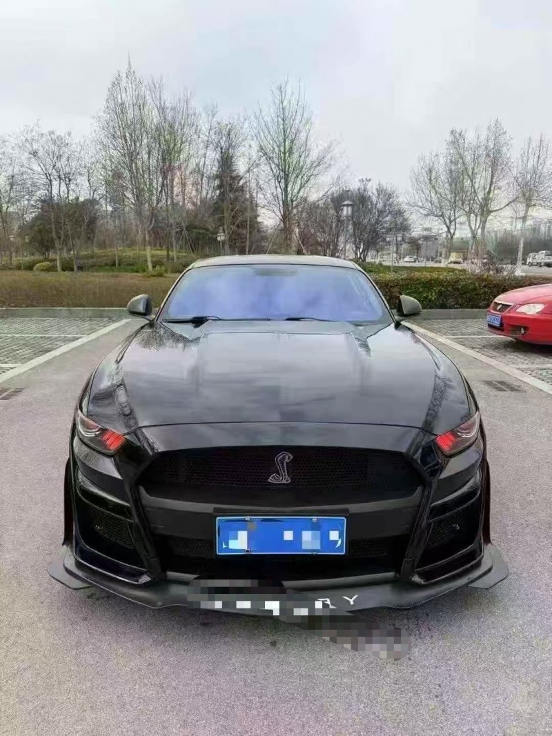 菏泽15年福特野马1