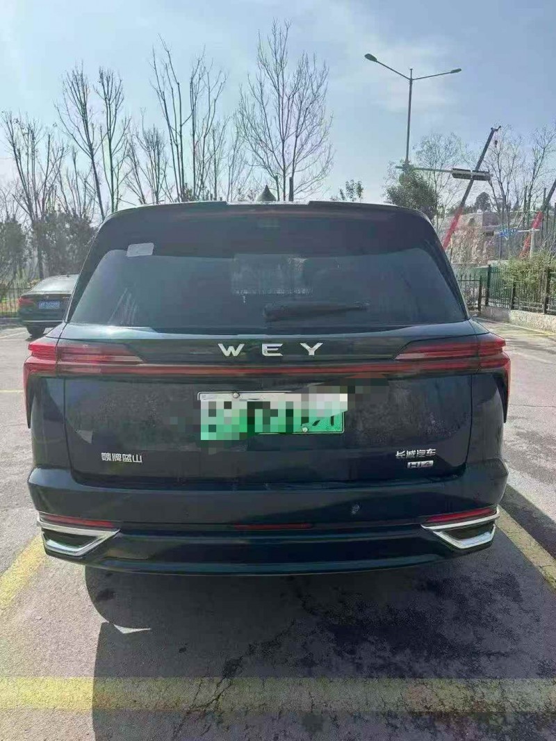 東營24年長城汽車魏牌9