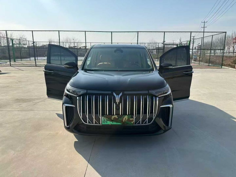 徐州24年岚图汽车梦想家7