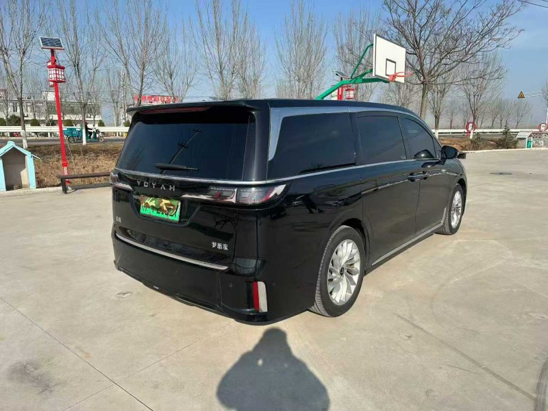 徐州24年岚图汽车梦想家8