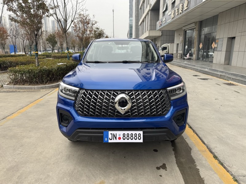 枣庄25年长城汽车炮 皮卡1