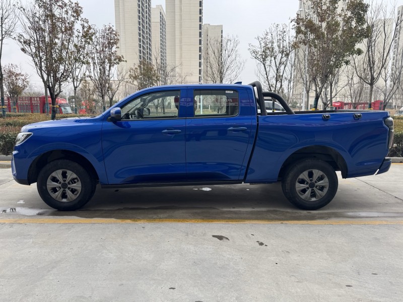 枣庄25年长城汽车炮 皮卡6