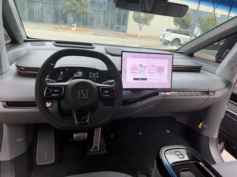 徐州24年极氪汽车MIX6