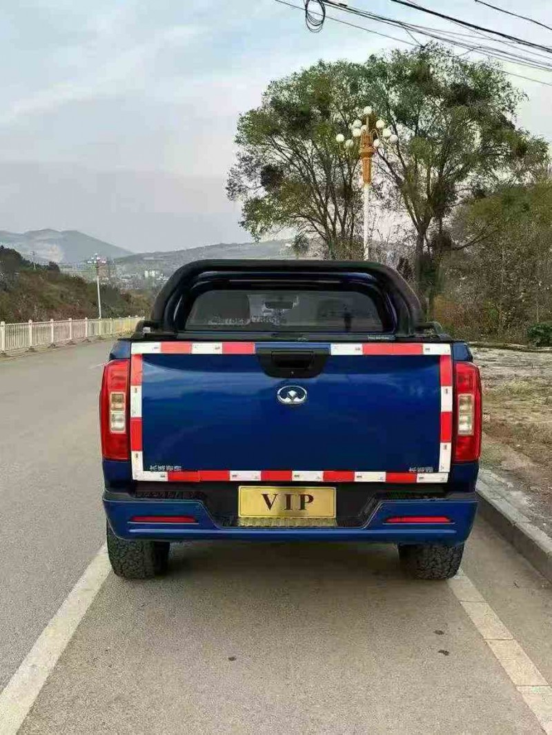 貴港21年長城汽車炮 皮卡9