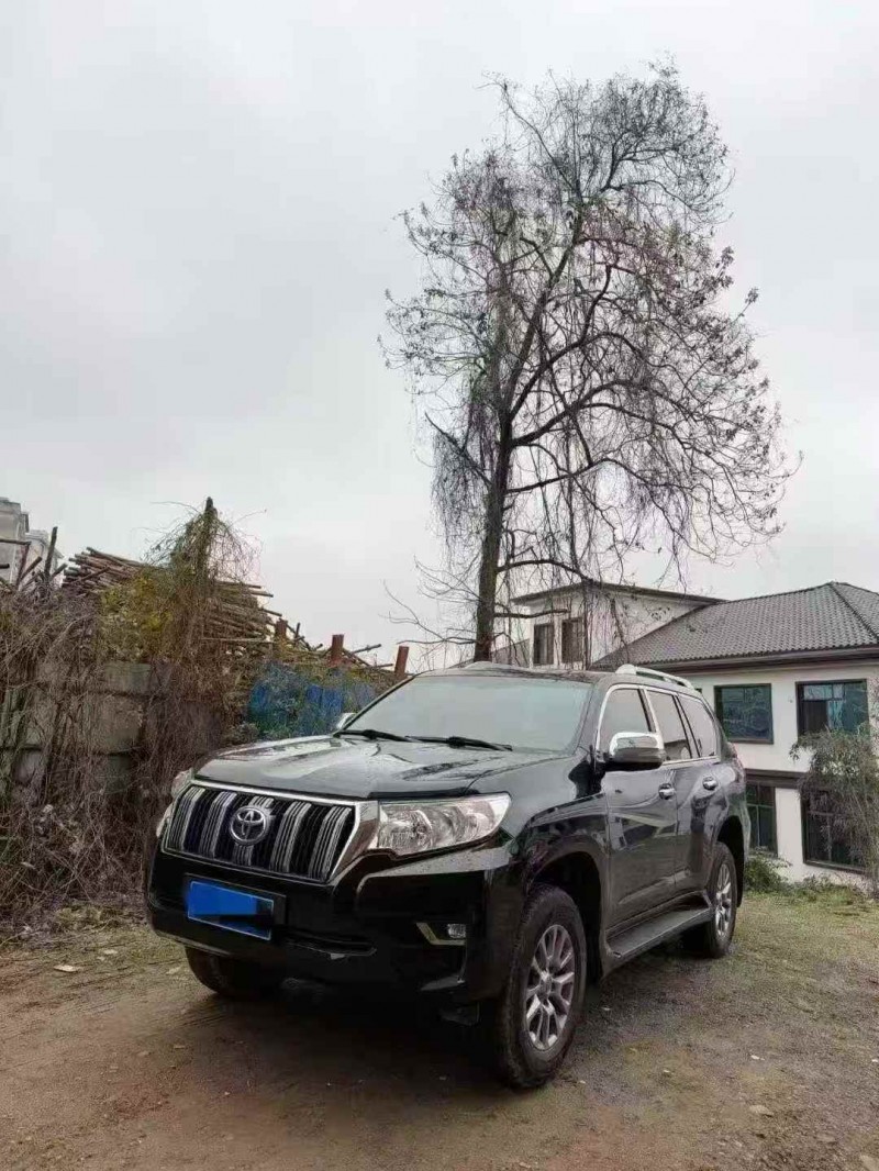 衡陽20年豐田普拉多2