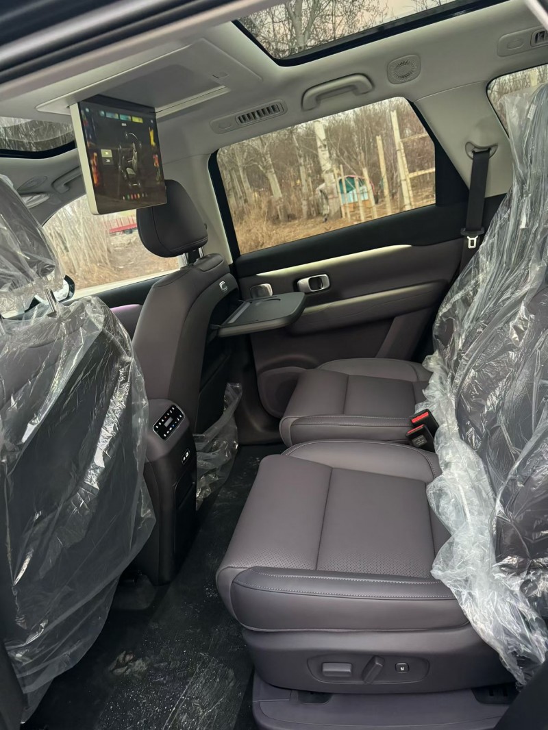 邯郸26年零跑汽车C169