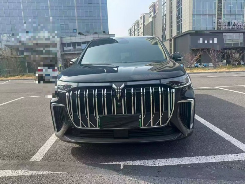 淄博23年岚图汽车梦想家1