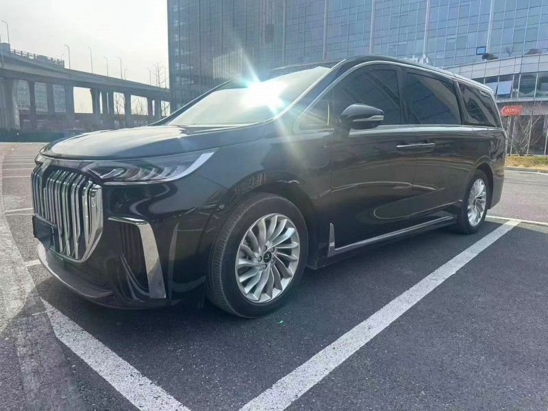 淄博23年岚图汽车梦想家2