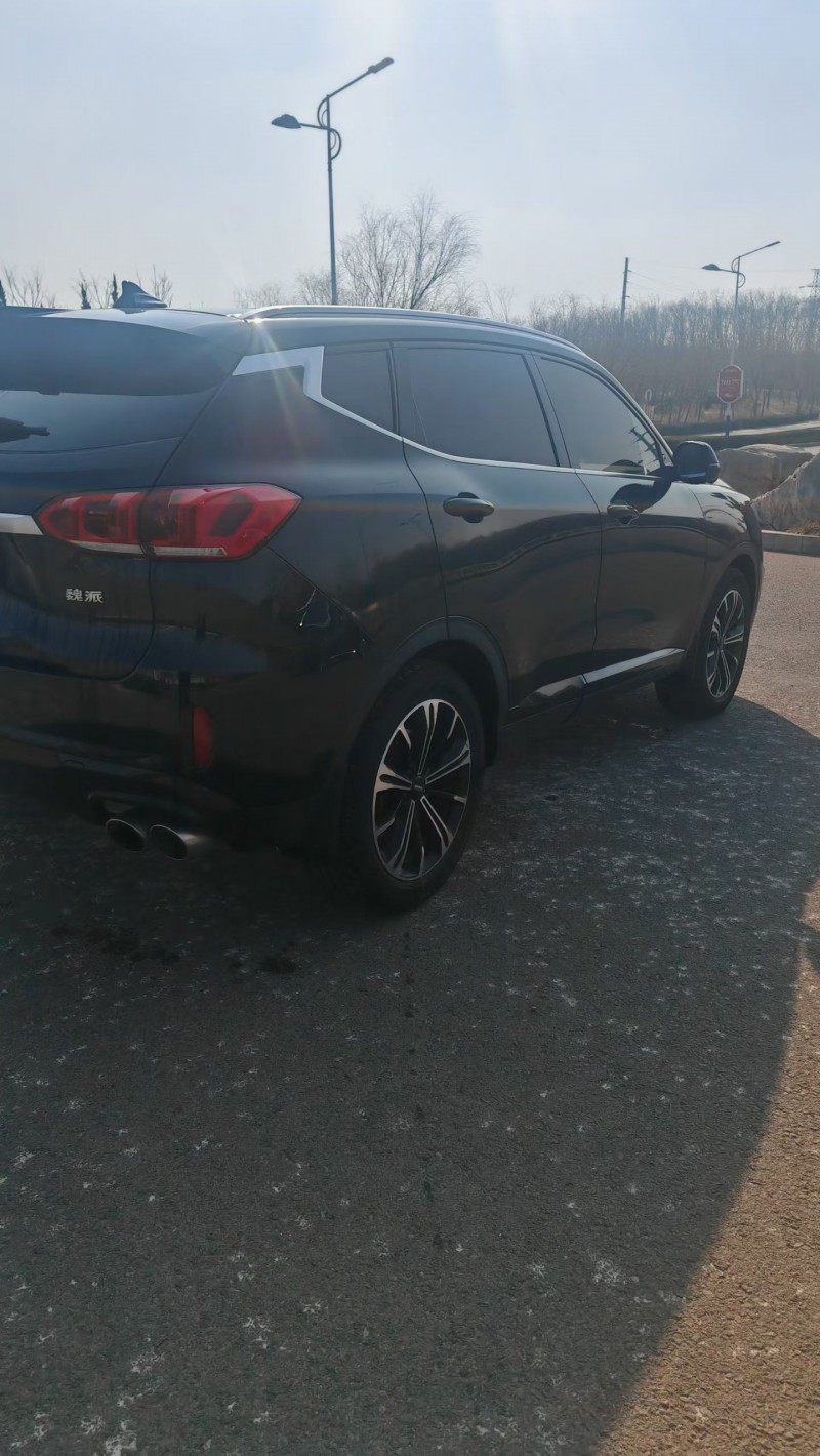 聊城21年長城汽車WEY8