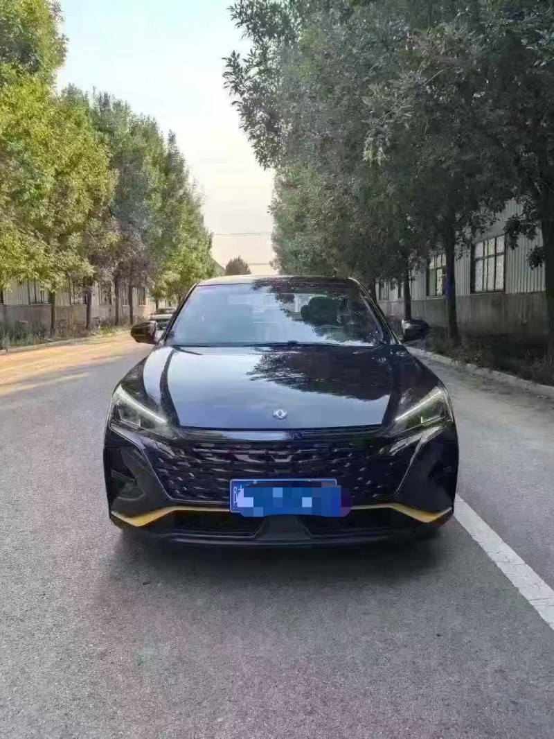 菏澤25年東風奕炫1