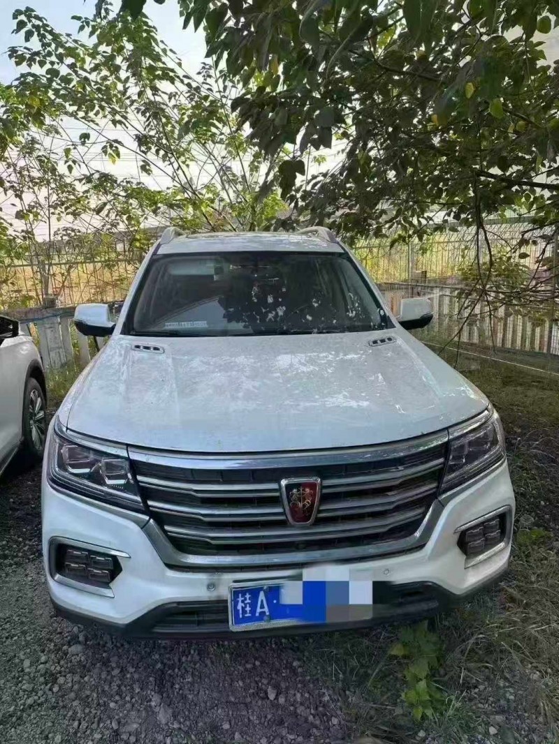 南寧22年榮威RX81