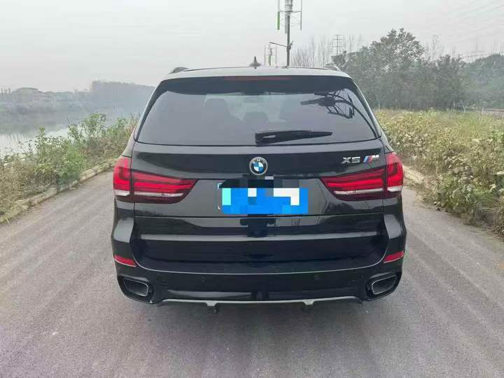 吉安17年寶馬X59